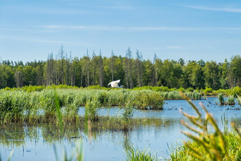 Over 1,750 scientists urge EU to close biodiversity funding gap