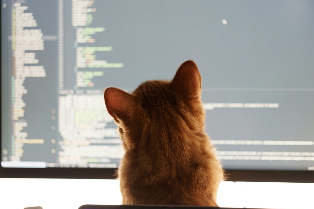Collins Dictionary names "vibe coding" word of the year