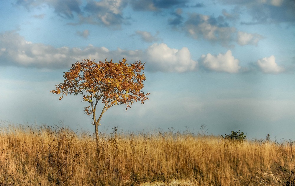EU push for water-saving technologies in agriculture to combat droughts