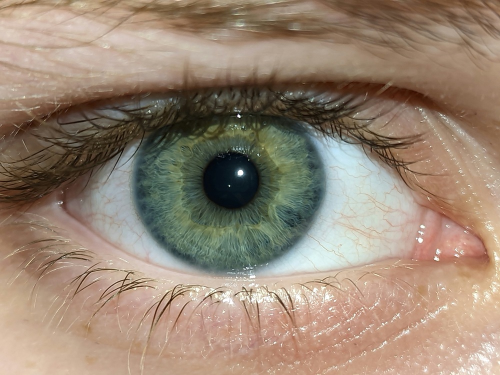World’s eye-scanning ID system launches in London this week