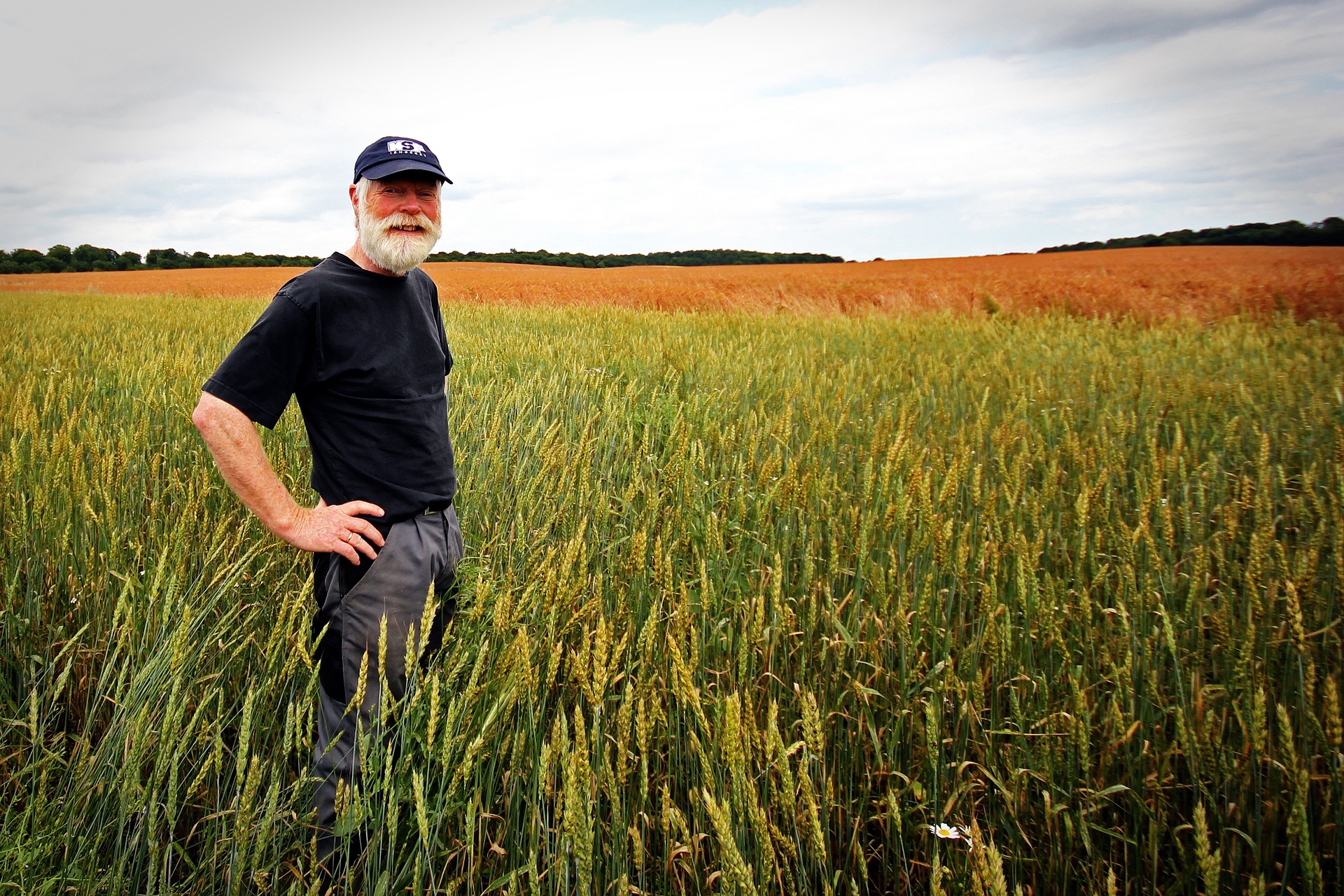 American farmers embrace AI to combat labor shortages
